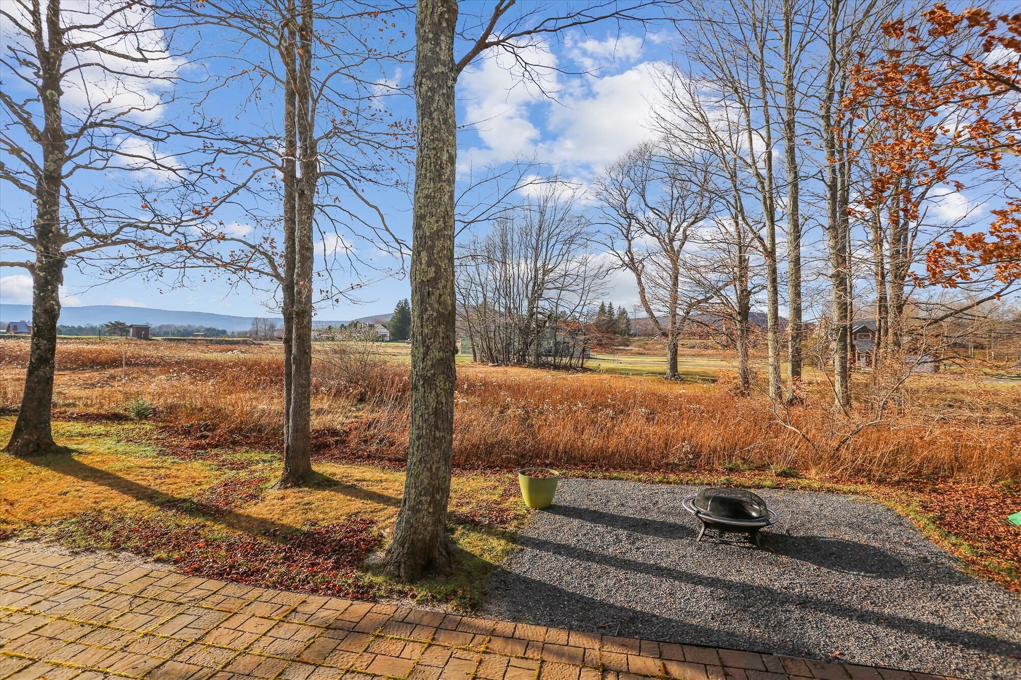A paved outdoor area with a grill and a pot, surrounded by trees and a grassy field.