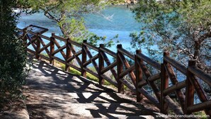 A wooden bridge leading to a body of water, surrounded by trees. - La Mar - By Almarina Villas (BENISSA)
