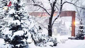 A snowy landscape with a wooden structure, possibly a gazebo, surrounded by snow-covered trees. - Lake Time Villa I Lake Views + Hot Tub (Big Bear Lake)