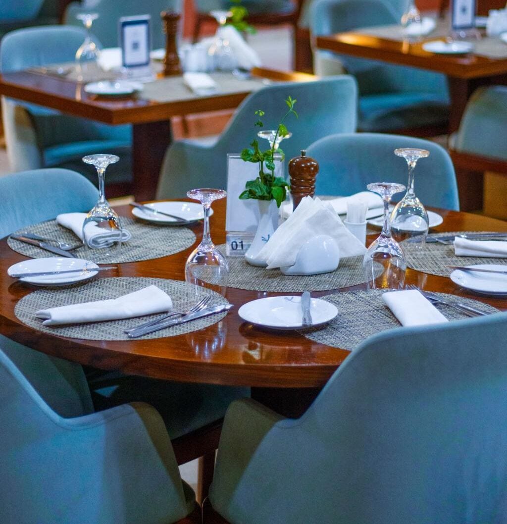 A dining table set with plates, cutlery, and glassware, with a napkin and a small plant centerpiece.