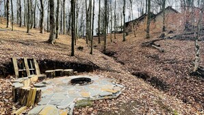 Ein steiniger Pfad, der durch ein bewaldetes Gebiet mit laubbedecktem Boden und kahlen Bäumen führt.