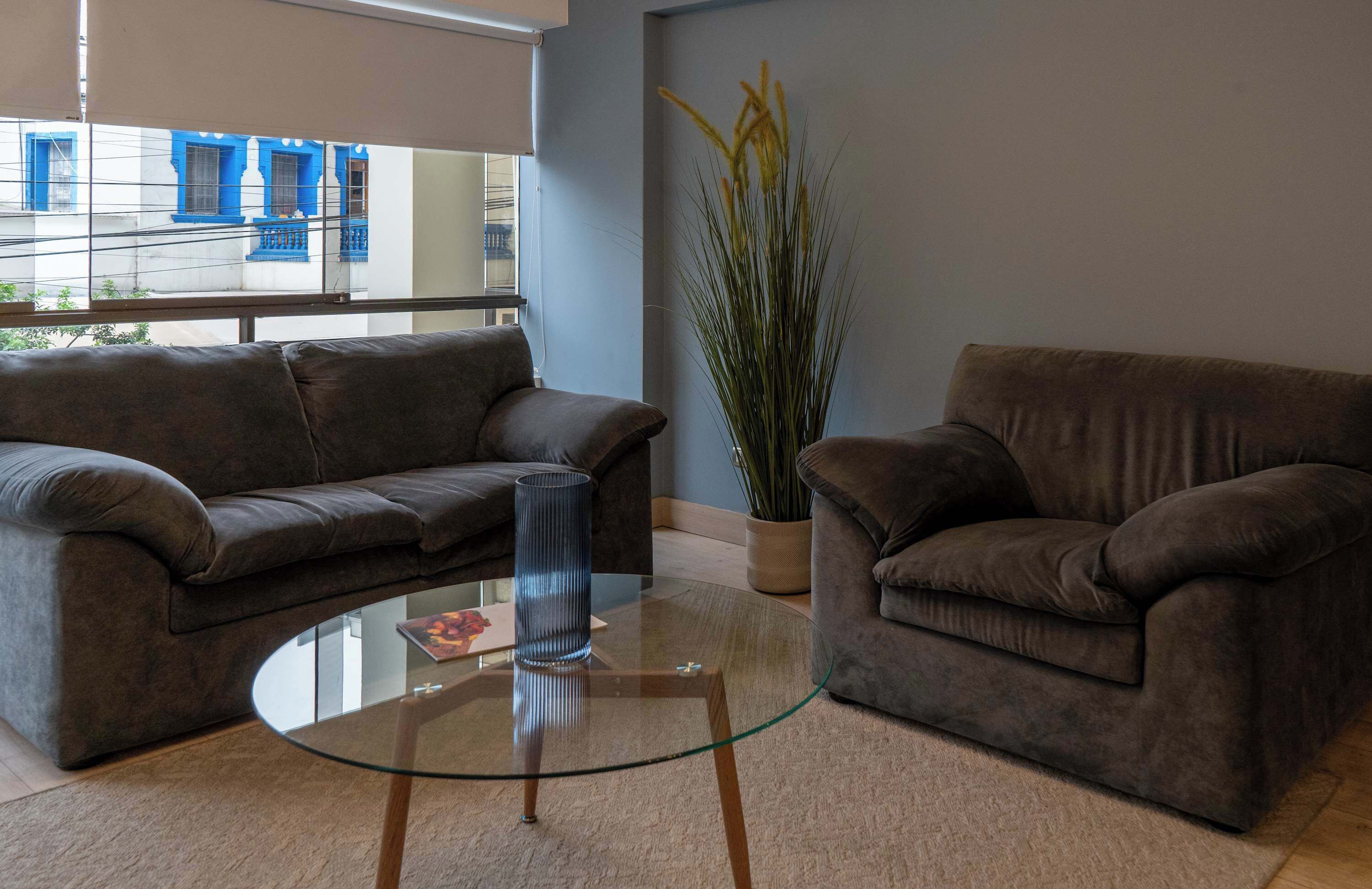 A living room with two dark brown sofas, a glass coffee table, and a tall plant.