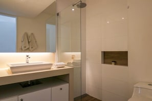 Shower, hair dryer, towels
