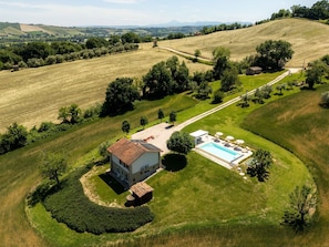 Exterior - Villa Edelia, Villa for exclusive use in Mondavio, Le Marche (Mondavio)