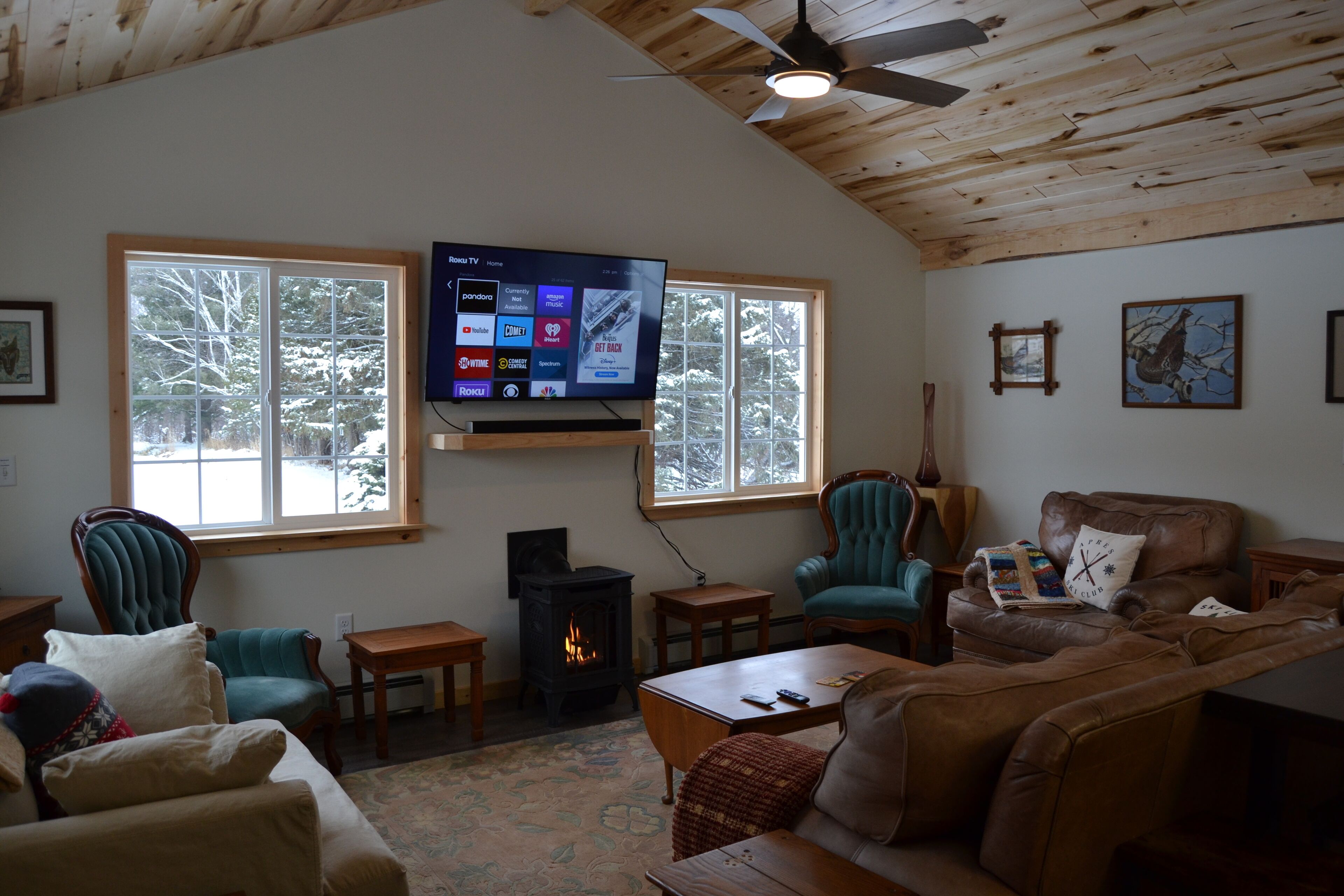 TV connectée, cheminée, livres