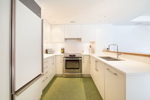 Fridge, oven, stovetop, dishwasher