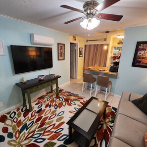 Smart TV, DVD player, video library