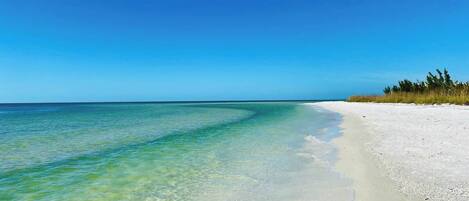 Plage à proximité