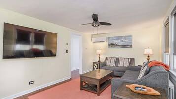 Televisio, Netflix, älykaiuttimet, suoratoistopalvelut