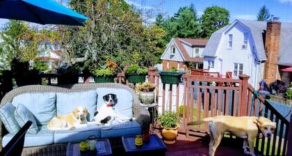 Flex Comfort Apts of Westchester #1