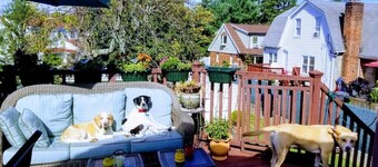 Flex Comfort Apts of Westchester #1