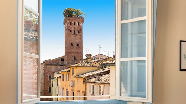 Vista desde una ventana de una torre histórica coronada por un árbol, con vistas a una calle con edificios tradicionales.