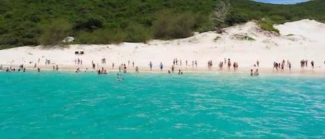 Una spiaggia nelle vicinanze