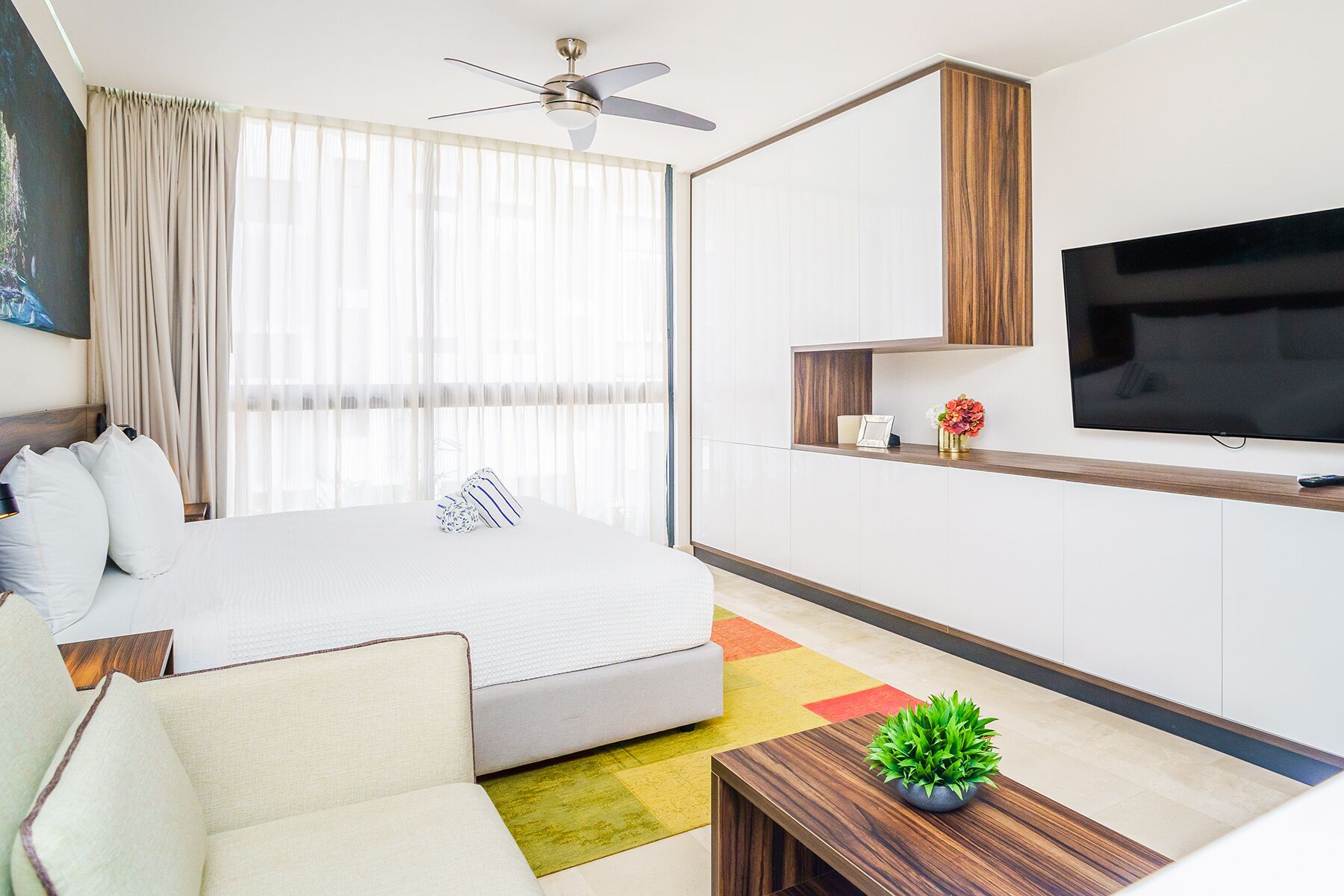 A modern hotel room with a bed, a TV, a ceiling fan, and a small plant on a wooden table.