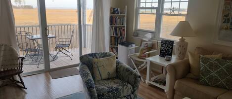 TV connectée, cheminée, lecteur de DVD, livres