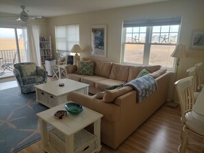 Smart TV, fireplace, DVD player, books