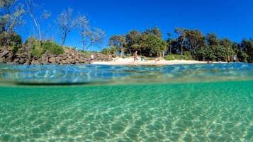 Beach nearby, sun-loungers