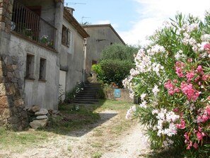 المنطقة المحيطة بالمنشأة