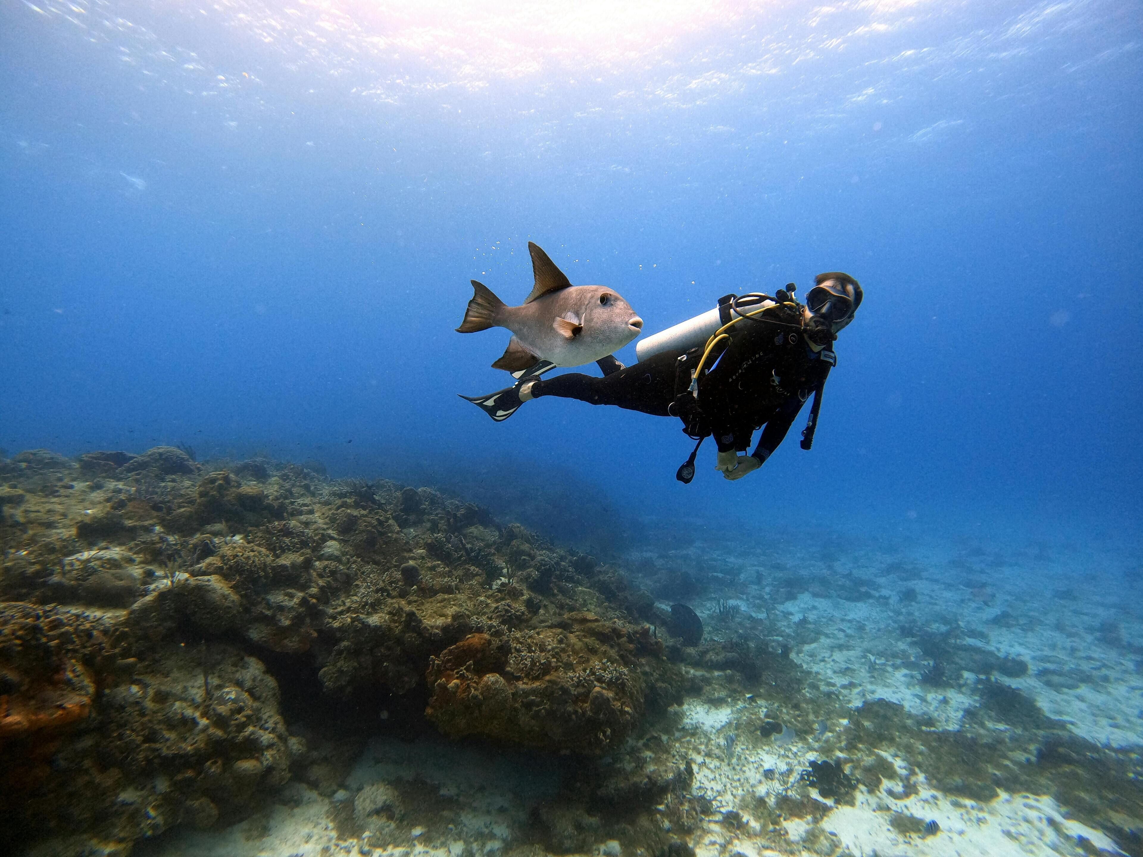 A diver with a fish swimming alongside.