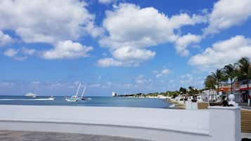 A coastal view with boats, a white wall, and palm trees.
