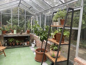 Enjoy the serene atmosphere in this greenhouse surrounded by lush greenery and a brick wall.