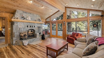 Smart TV, fireplace, books, stereo