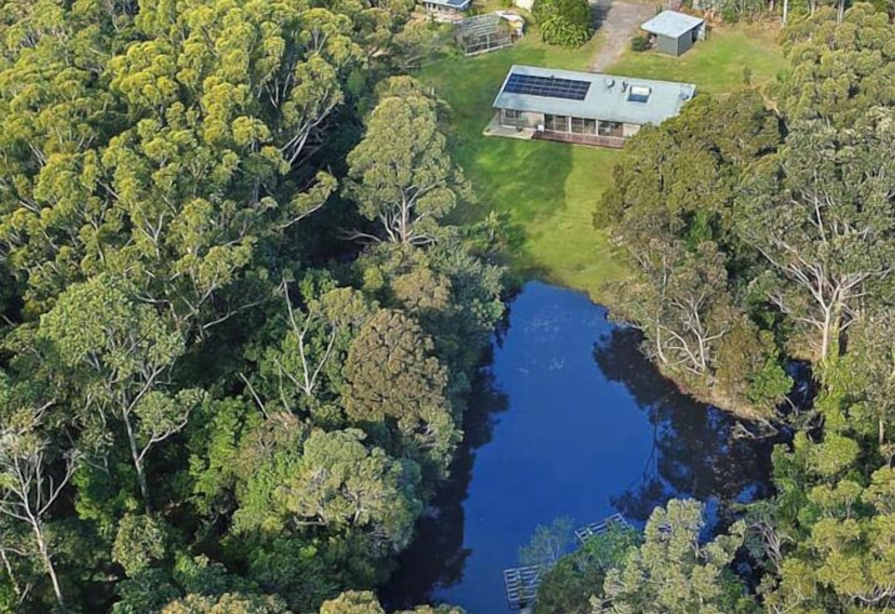 Coastal bush retreat : 10m to Huskisson & beaches