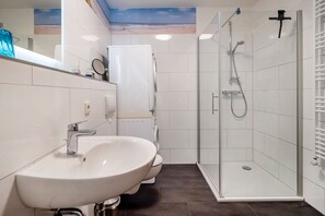 Shower, hair dryer, towels