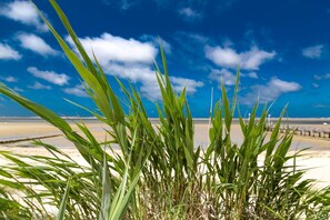 Una playa con vegetación verde al frente y un cielo azul despejado.