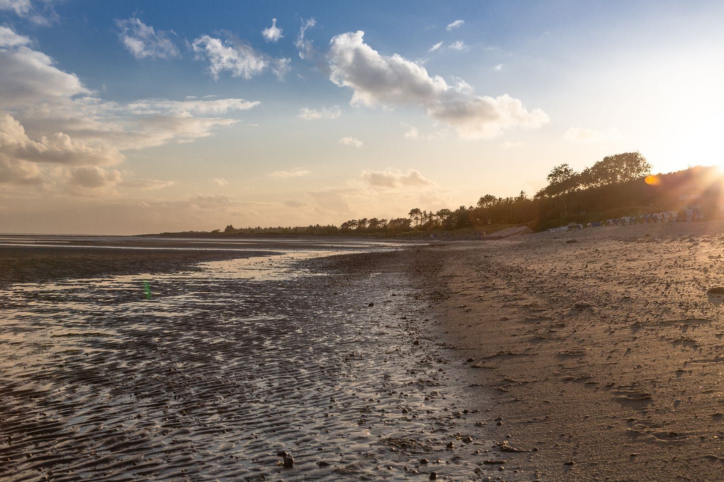 A beach with a wide sandy area, a calm water body, and a line of trees in the background.