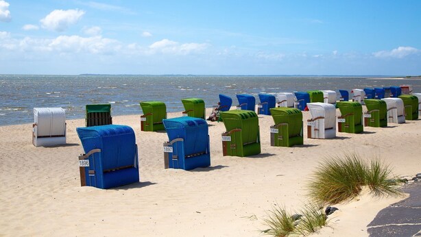 A beach with rows of numbered beach chairs and a row of white beach huts.