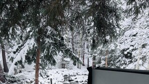 Jacuzzi en un entorno nevado al aire libre, con vista a árboles cubiertos de nieve y un camino de piedra.