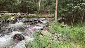 Un arroyo serpentea por un bosque con rocas y abundante vegetación.