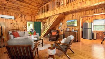 TV connectée, cheminée, livres, chaîne hi-fi