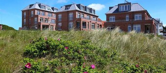 Pet-free 1-room apartment with sunny south-facing balcony - only 100 m to the beach