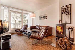 TV, fireplace, DVD player