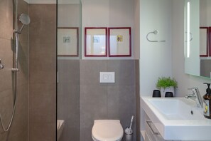 Regadera, secadora de cabello, toallas, jabón 