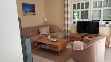 Télévision, cheminée, lecteur de DVD, chaßne hi-fi