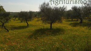 Property grounds - Abbondanza® The Farm House (Alberobello)