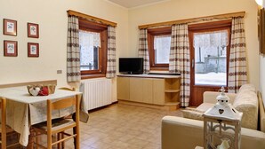 تلفزيون