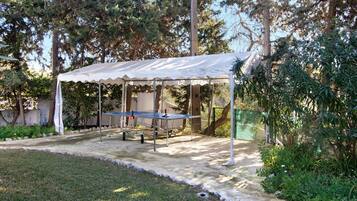 Área da propriedade