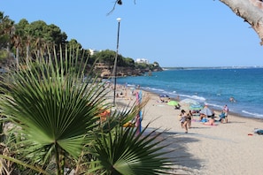 Playa en los alrededores