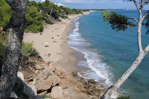 Playa en los alrededores