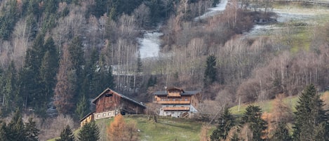 Esterni