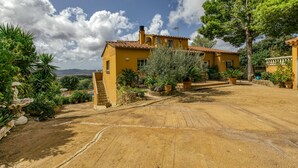 Una villa amarilla con techo de tejas, rodeada de vegetación y un camino de tierra.