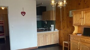 TV, DVD player - Comfortable 2-Room Cabin for 6, Pets Allowed, Near Slopes and Shops (Orcières Merlette)