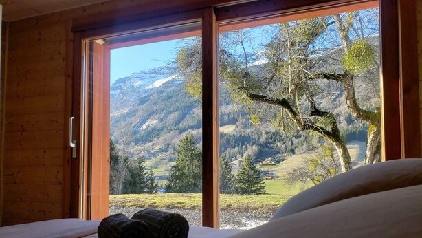 2 bedrooms, iron/ironing board, WiFi, bed sheets - PICAILLONS - Le Chalet (Les Villards-sur-Thônes)
