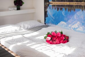 1 habitación y wifi gratis 