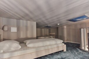 Un dormitorio con una cama grande, una lámpara de techo y un tragaluz.