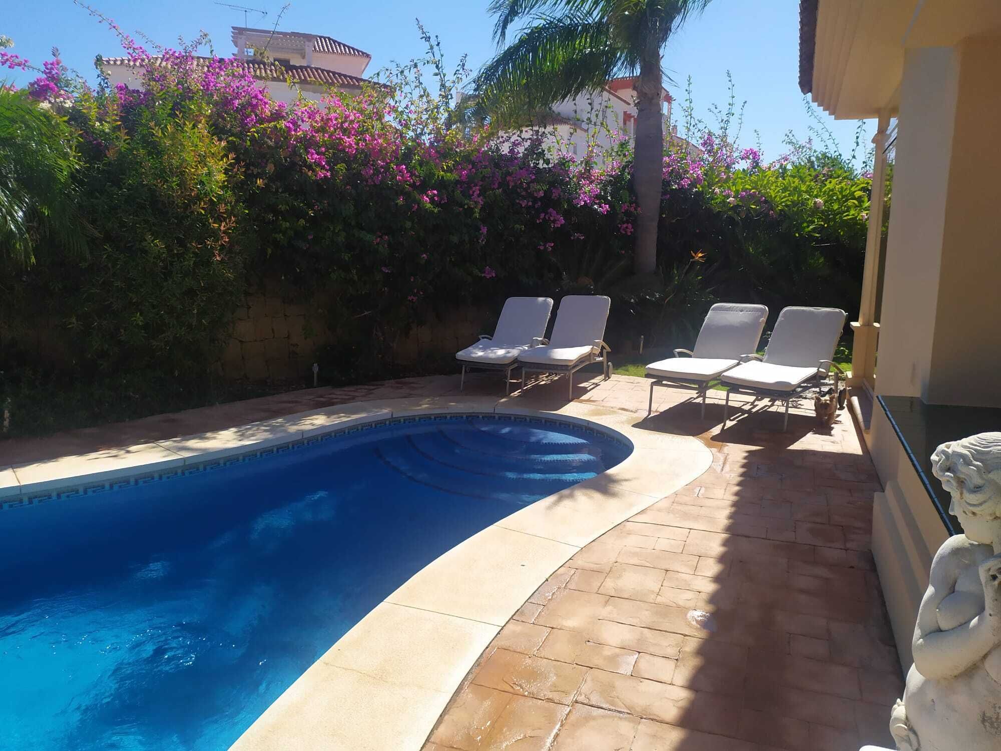 A swimming pool with a curved edge, surrounded by a tiled patio. There are lounge chairs and a statue on the patio.